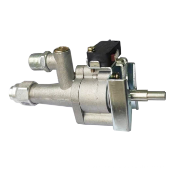 Micro Switch gas valve